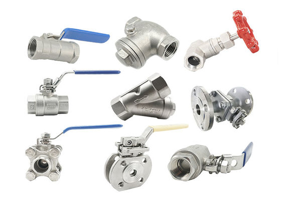 304 316 Ss 나선형 부상 틈막이를 가진 위생 조밀한 공 벨브 NPT 실