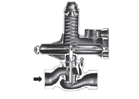 철 피셔 연성이 있는 133L 시리즈는 규칙을 감소시키는 운영한 가스압력을 지시합니다